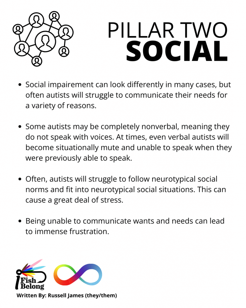iFiB Autism 3 Pillars - Pillar Two Social