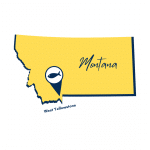 DIY - Montana State Outline Yellow