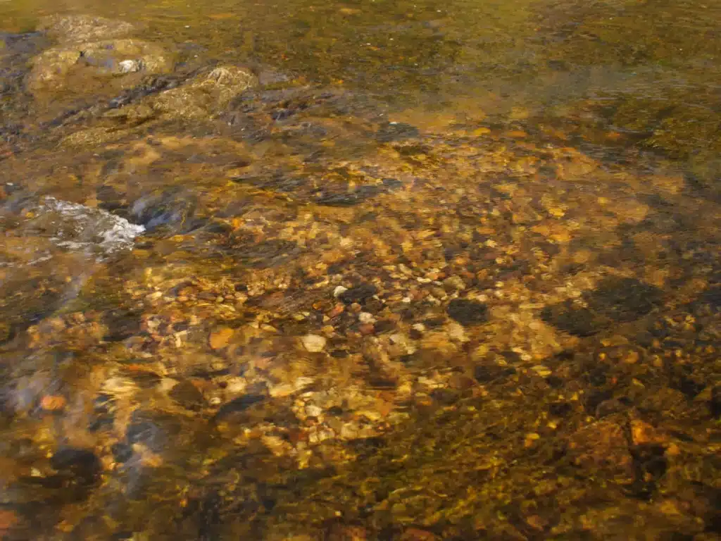 Fish-Spawning-Bed-Identificiation-Redd.png