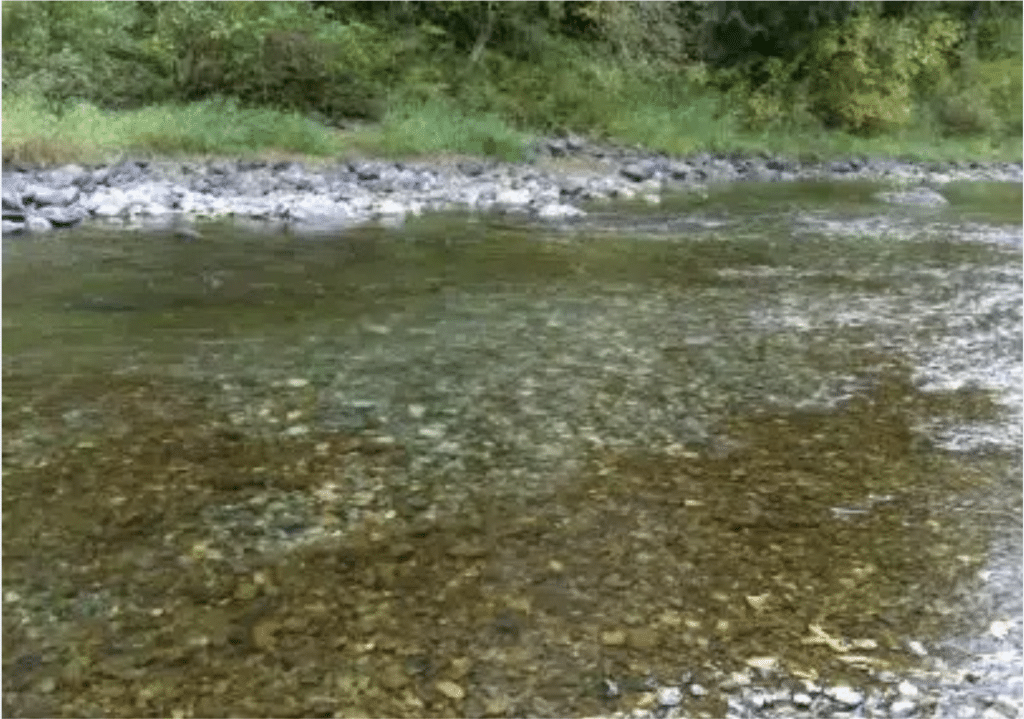 Trout Spawning Bed Redd - Photo By - WDFW Staff